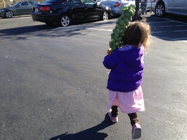 20131210-131342.jpg